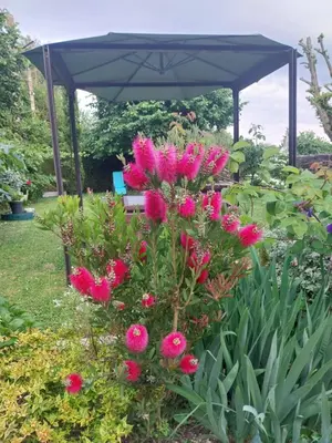 Jardin de l'établissement Prés de Giverny - Bienvenue AUX ARPENTS VERTS