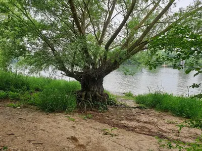 Paysage naturel près de la maison de vacances