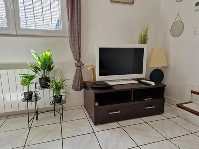 Télévision ou salle de divertissement dans l'établissement Maison 3 personnes entre lac et forêt