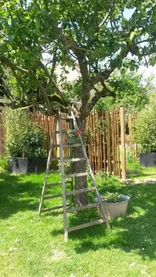 Aire de jeux pour enfants de l'établissement Les Co Gîte