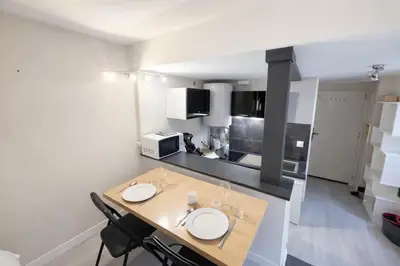 Cuisine ou kitchenette dans l'établissement Studio centre ville