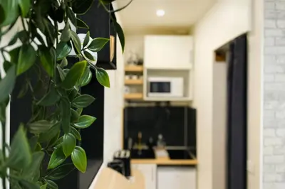 Cuisine ou kitchenette dans l'établissement Le Cloudy Cocon calme hypercentre - 418