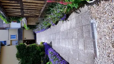 Jardin de l'établissement Appartement lumineux garage privé centre-ville
