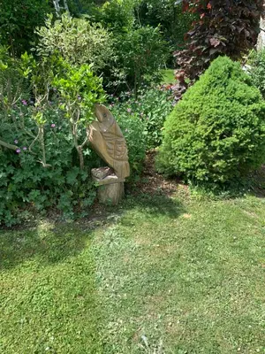 Jardin de l'établissement L Orée du Bois
