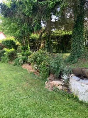 Jardin de l'établissement L Orée du Bois