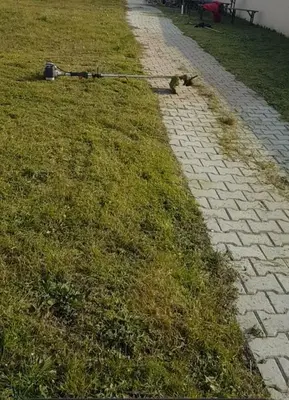 Jardin de l'établissement Évasion & Nature