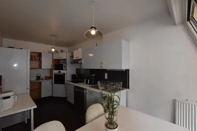 Cuisine ou kitchenette dans l'établissement Vaste Appartement dupleix 3 chambre proche Stade de France