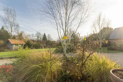 Jardin de l'établissement Gîte Gîtes de France® - Le Nid d'Hirondelles