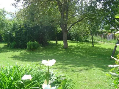 Jardin de l'établissement Gîte Gîtes de France® - Le Rêve