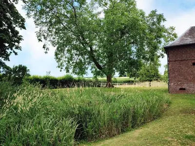 Jardin de l'établissement Gîte Gîtes de France® - Ferme des Marronniers