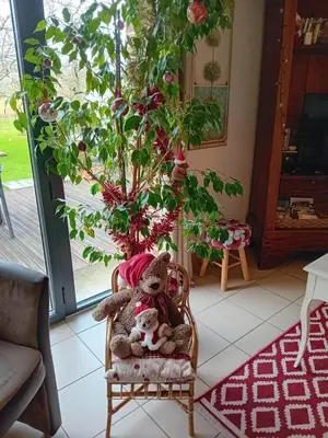 Jardin de l'établissement Gîte Gîtes de France® - Au Pas de L'ours
