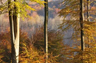 Paysage naturel près de la maison de vacances