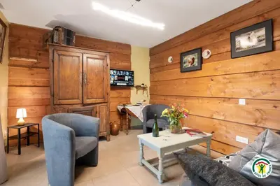 Télévision ou salle de divertissement dans l'établissement Gîte Gîtes de France® - La Buanderie
