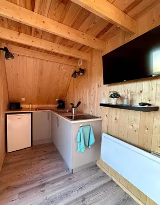 Cuisine ou kitchenette dans l'établissement Tiny house