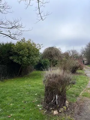 Jardin de l'établissement Jardin des prés