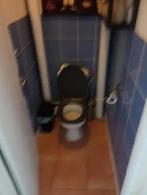 Salle de bains dans l'établissement Location appartement