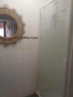 Salle de bains dans l'établissement Appartement partagé à Rouen une chambre privé pour vous !