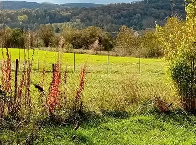 Paysage naturel près de la maison de vacances
