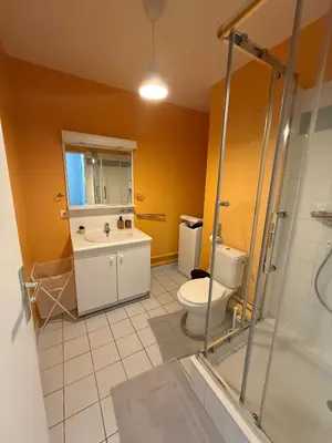 Salle de bains dans l'établissement Charmant appartement Centre Ville
