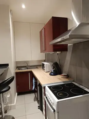 Cuisine ou kitchenette dans l'établissement Appartement Mantes la Jolie