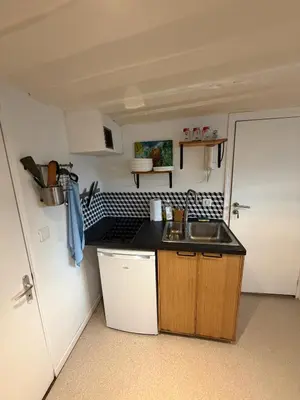 Cuisine ou kitchenette dans l'établissement Studio Cosy Place Vieux Marché