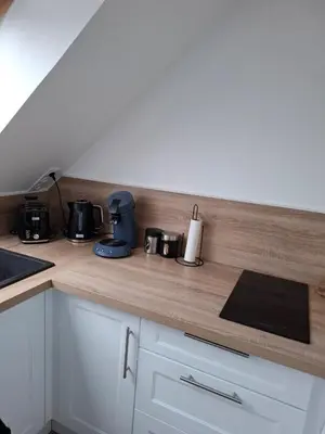 Cuisine ou kitchenette dans l'établissement Studio l'écluse