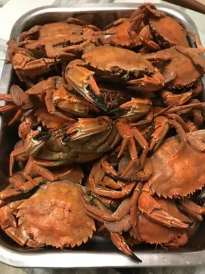 Nourriture dans l'appartement ou à proximité