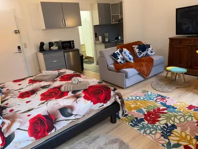 Cuisine ou kitchenette dans l'établissement Cosy Bora Bora-Confort pour 4 personnes à Amiens