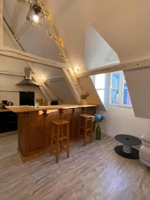 Cuisine ou kitchenette dans l'établissement Sous les toits des Jacobins, 3 chambres, WiFi