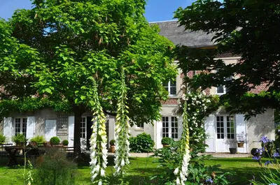Jardin de l'établissement La Maison & L'atelier