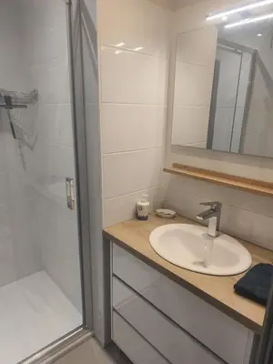 Salle de bains dans l'établissement Gite 2-4 personnes