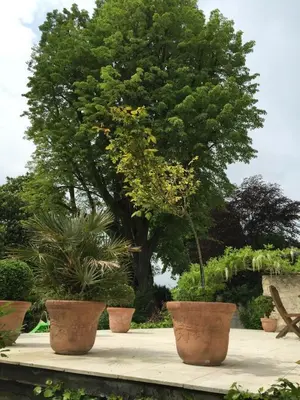 Jardin de l'établissement Le Castel Ecossais