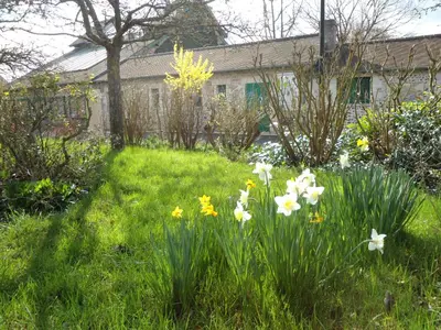 Jardin de l'établissement B&B La Maison de L'Aubette