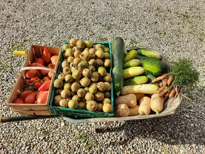 Nourriture dans le B&B/chambre d'hôtes ou à proximité