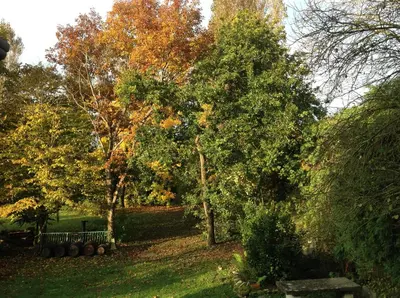 Jardin de l'établissement La Maison du Verger