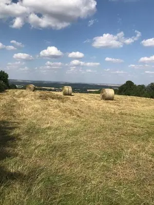 Paysage naturel près de la maison de vacances