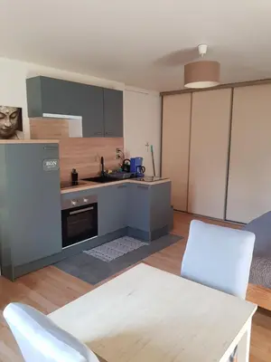 Cuisine ou kitchenette dans l'établissement Studio Chantilly