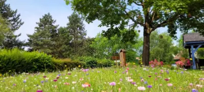 Jardin de l'établissement KYRIAD ROUEN NORD - Mont Saint Aignan