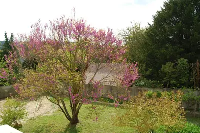 Jardin de l'établissement Ramier