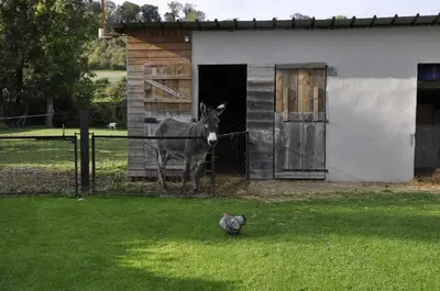 Animaux dans la maison de vacances ou à proximité
