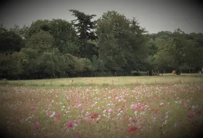 Paysage naturel près de l'appartement
