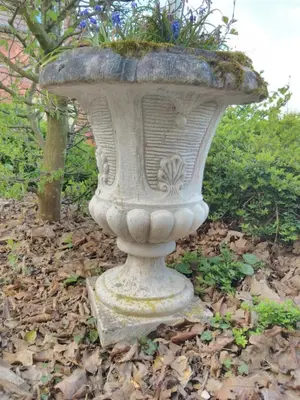 Jardin de l'établissement Le Gîte du Chêne Rouvre