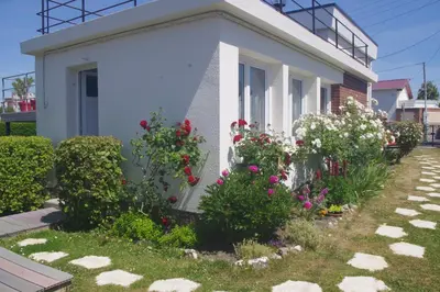 Jardin de l'établissement Studio rez-de-jardin
