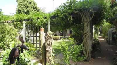 Jardin de l'établissement Garden Studio Chantilly