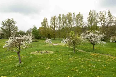 Jardin de l'établissement La Pomme Pétillante
