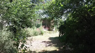 Paysage naturel près de le B&B/chambre d'hôtes