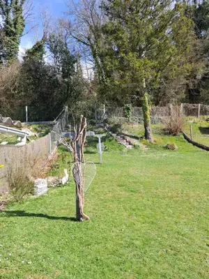 Jardin de l'établissement gite l oree de la foret