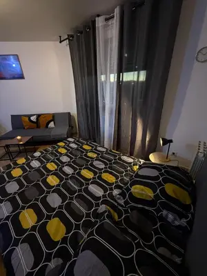 Un ou plusieurs lits dans un hébergement de l'établissement Appartements Sully