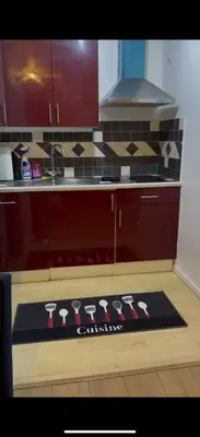 Cuisine ou kitchenette dans l'établissement Appartements Sully