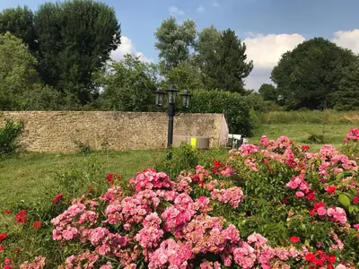 Jardin de l'établissement La Source